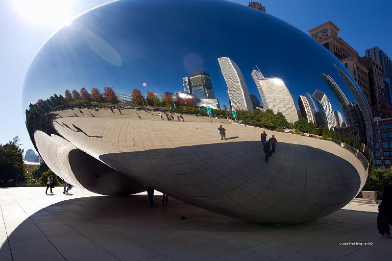 20081030_124052 D3 2x3 P1 srgb.jpg - Views of Cloud Gate which provides stunning reflections of the surrounding buidings